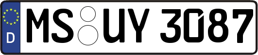 MS-UY3087