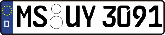 MS-UY3091