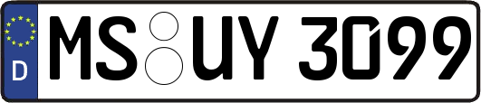 MS-UY3099