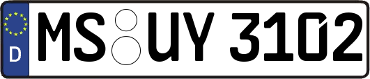 MS-UY3102