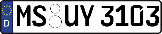 MS-UY3103