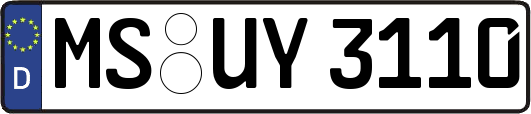 MS-UY3110