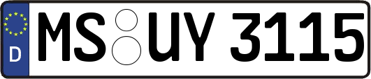 MS-UY3115