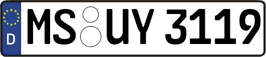 MS-UY3119
