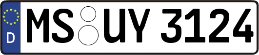 MS-UY3124