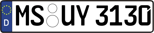 MS-UY3130