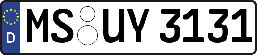 MS-UY3131