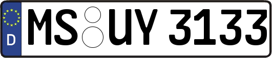 MS-UY3133