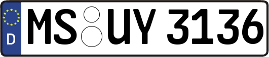 MS-UY3136