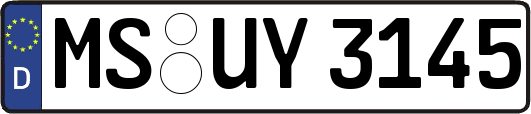 MS-UY3145