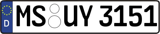 MS-UY3151
