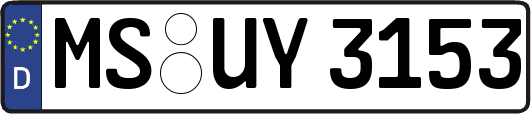 MS-UY3153