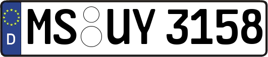 MS-UY3158