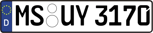 MS-UY3170