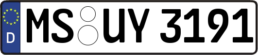 MS-UY3191