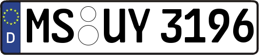 MS-UY3196