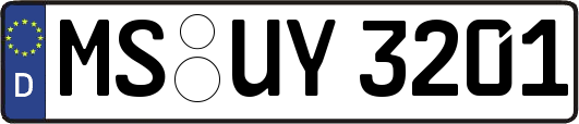 MS-UY3201