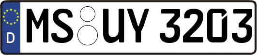 MS-UY3203