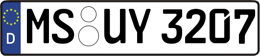 MS-UY3207