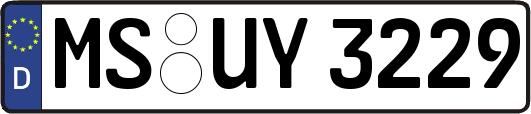 MS-UY3229