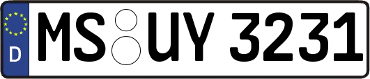 MS-UY3231