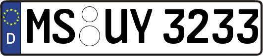 MS-UY3233