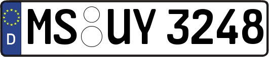 MS-UY3248