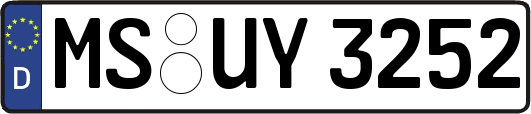 MS-UY3252
