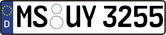 MS-UY3255