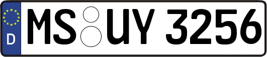 MS-UY3256