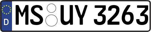 MS-UY3263