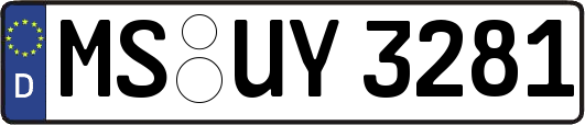 MS-UY3281