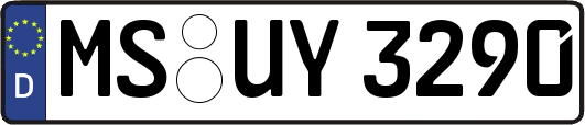 MS-UY3290