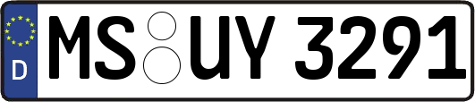 MS-UY3291