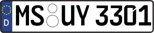 MS-UY3301