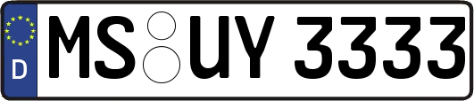MS-UY3333