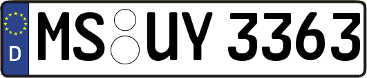 MS-UY3363