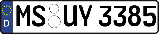 MS-UY3385