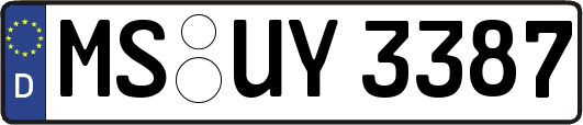 MS-UY3387