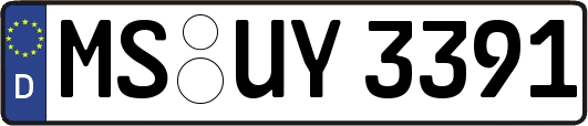 MS-UY3391