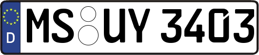 MS-UY3403