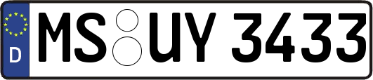 MS-UY3433