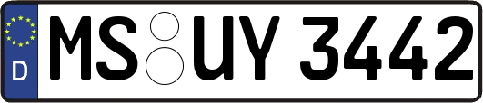 MS-UY3442