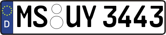 MS-UY3443