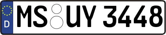 MS-UY3448