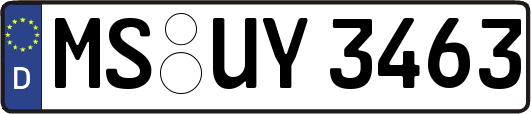 MS-UY3463