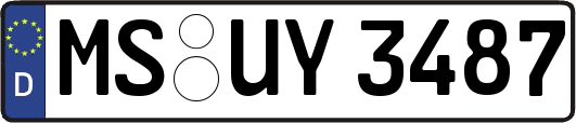 MS-UY3487