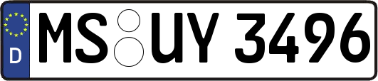 MS-UY3496