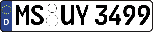 MS-UY3499