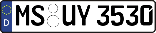 MS-UY3530